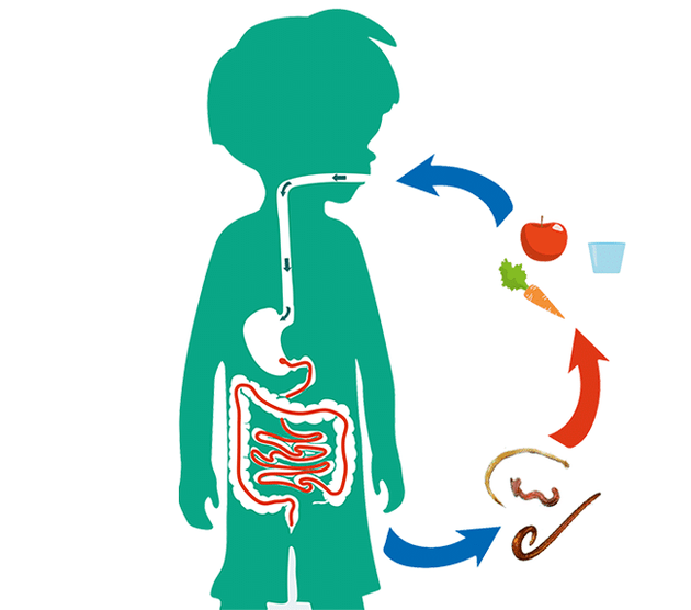 Drogi zarażenia człowieka pasożytami